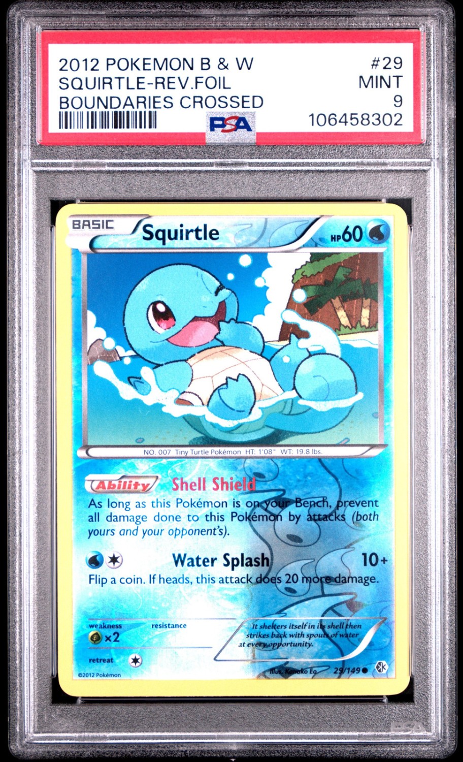 Squirtle