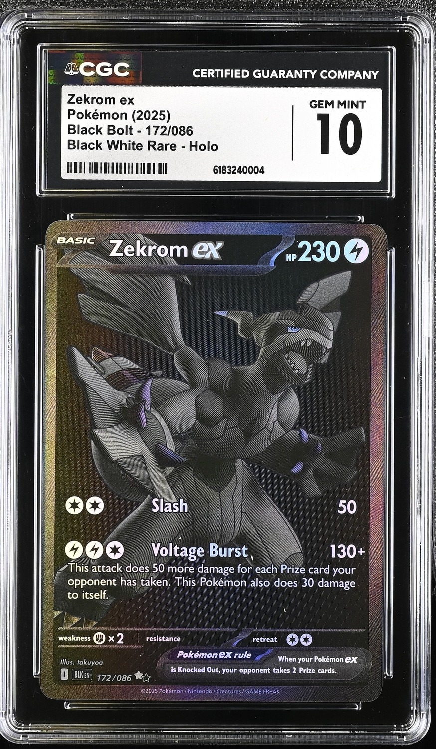 ZEKROM ex