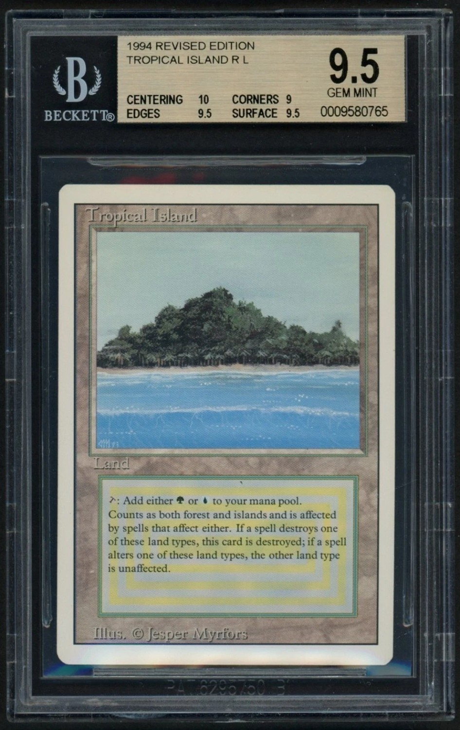 Tropical Island