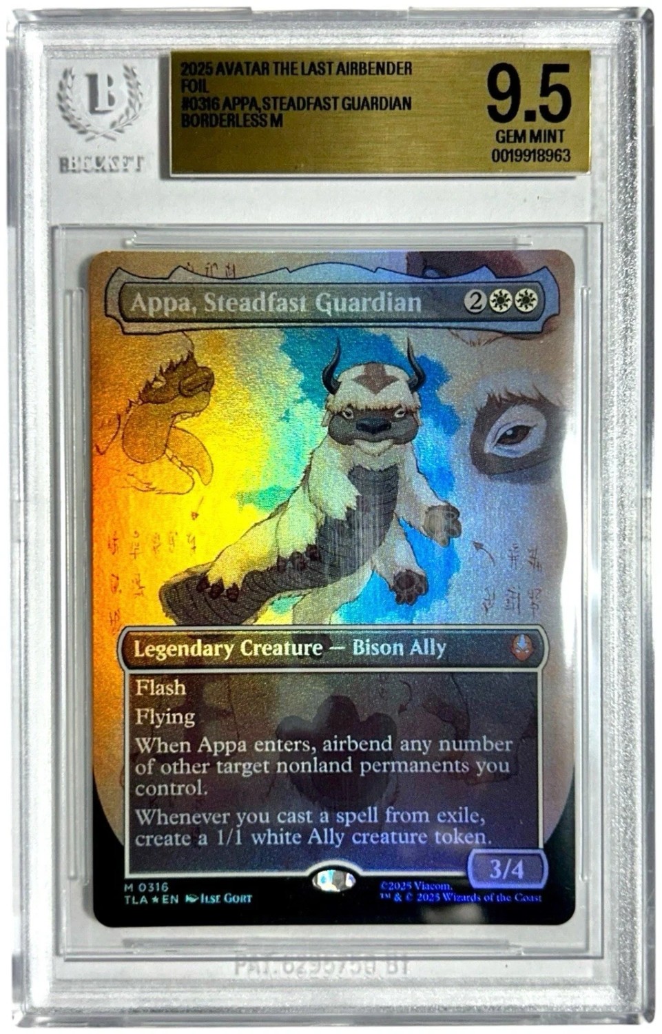 Appa, Steadfast Guardian