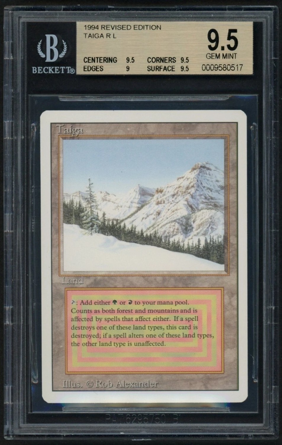 Taiga