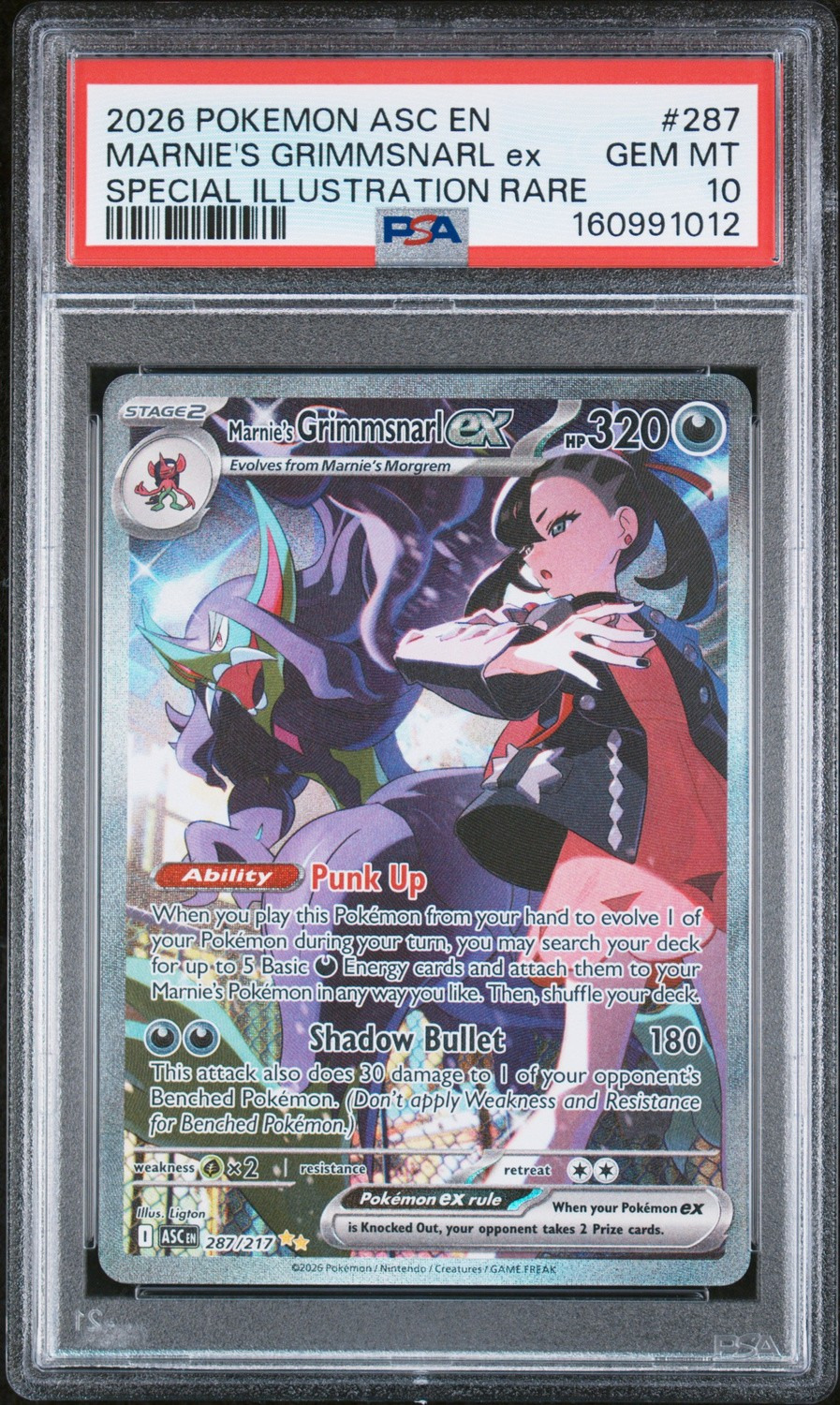 MARNIE'S GRIMMSNARL ex