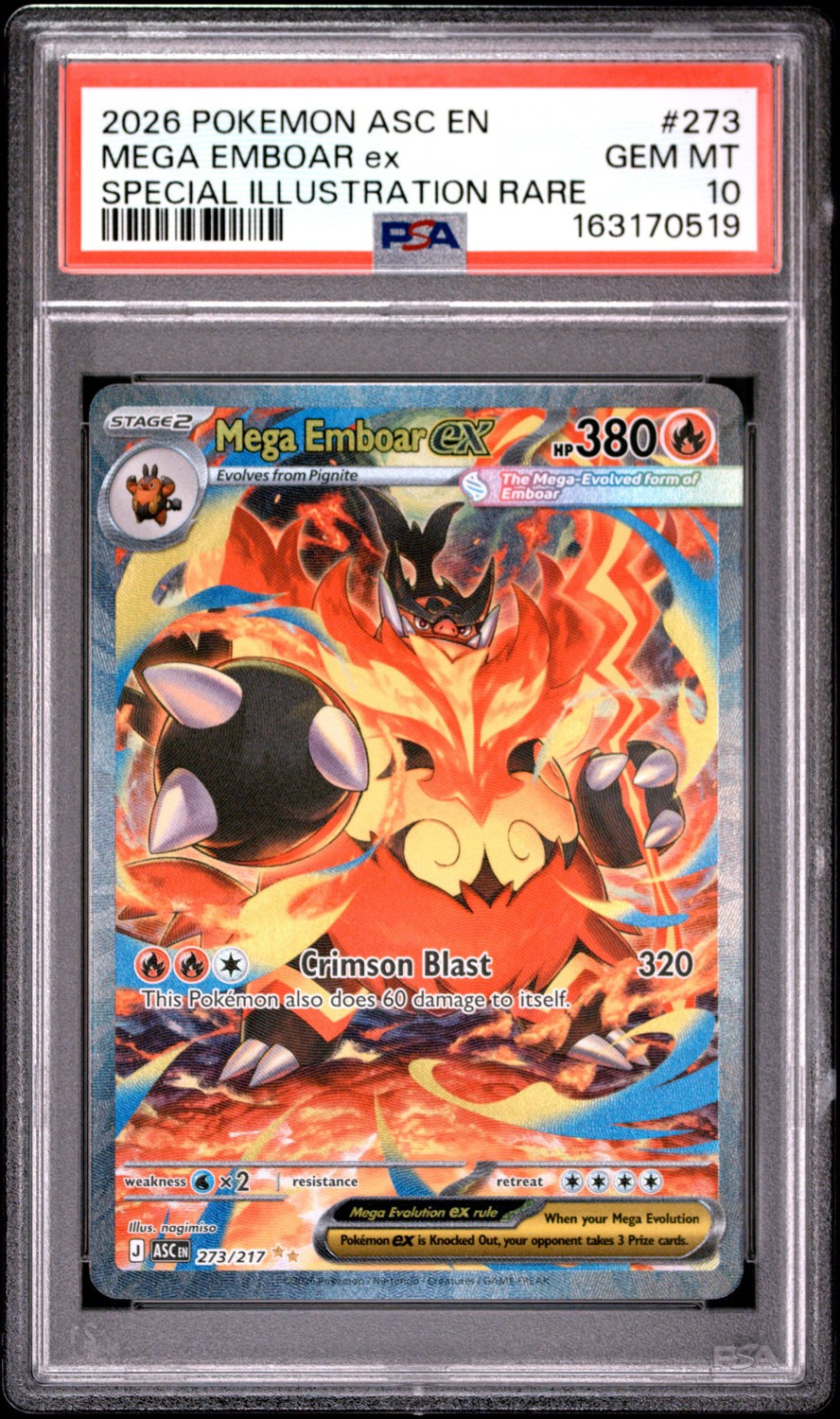 MEGA EMBOAR ex