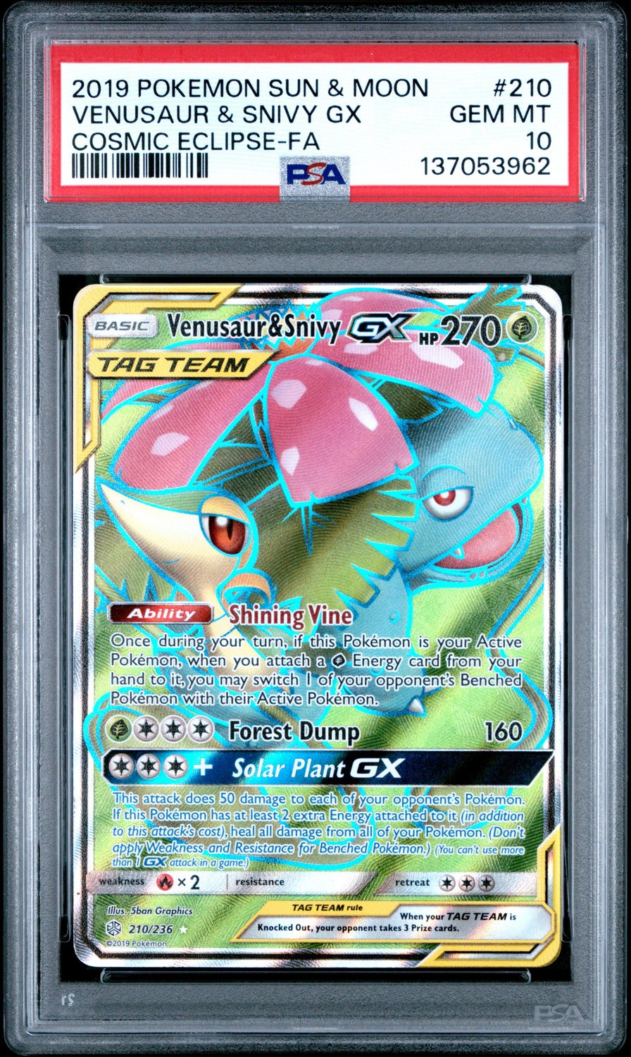 Venusaur & Snivy GX