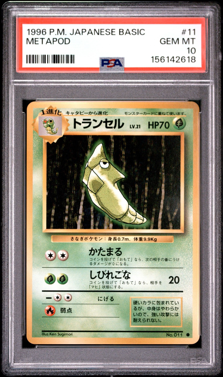 Metapod