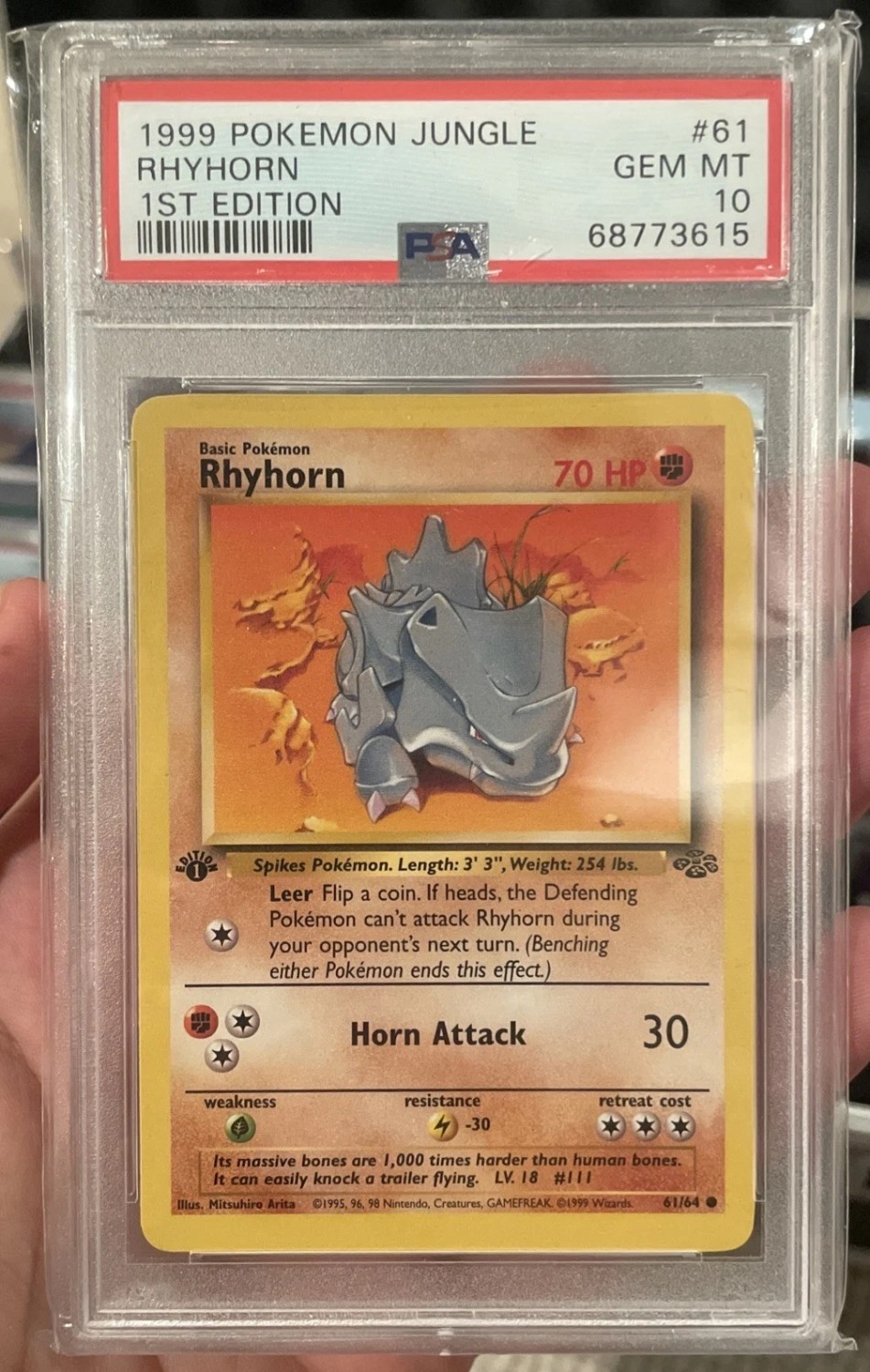 Rhyhorn