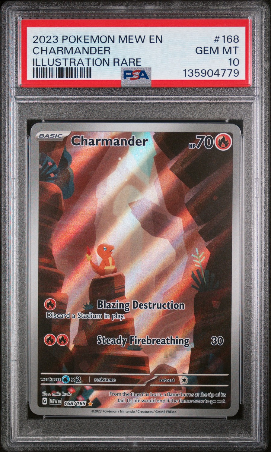 CHARMANDER