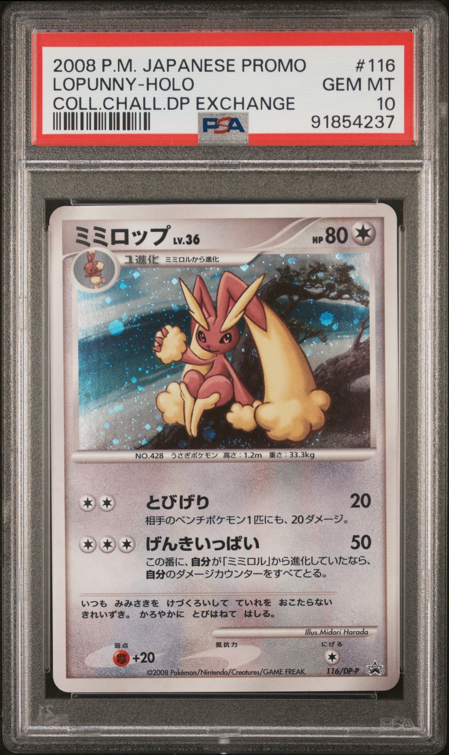 Lopunny