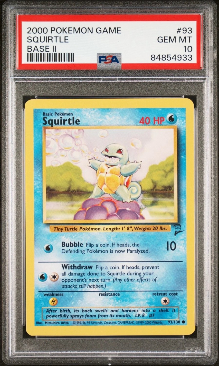 Squirtle