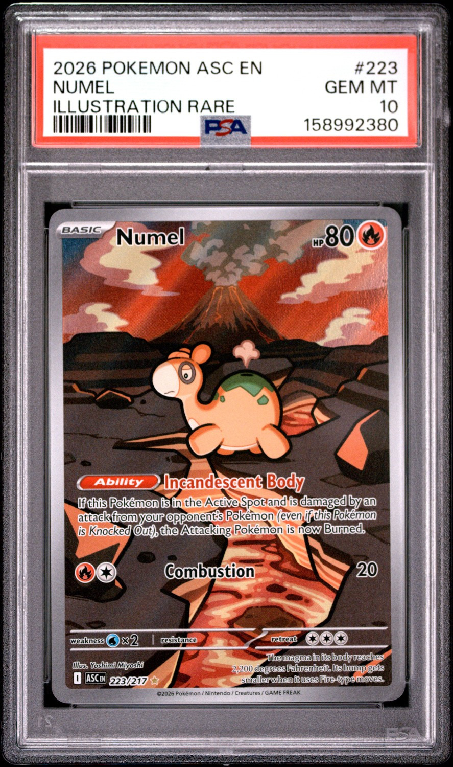 Numel