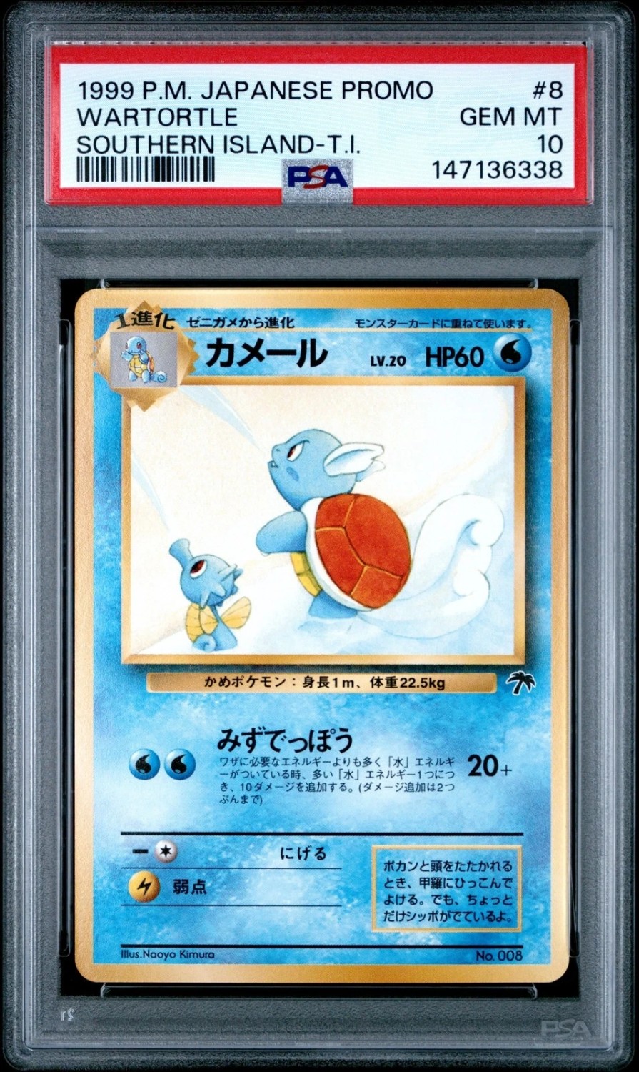 Wartortle