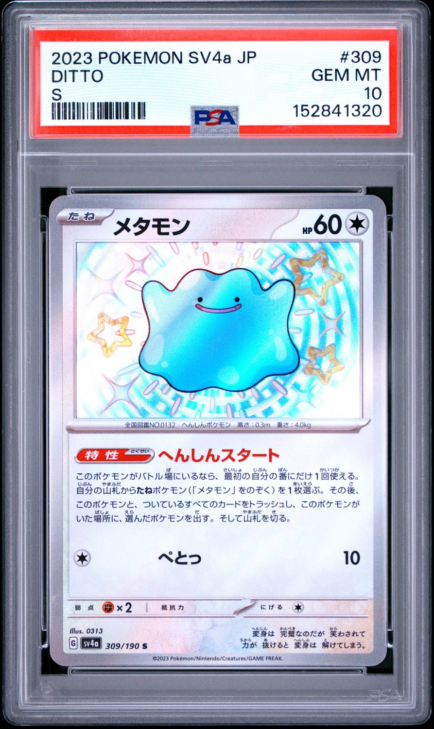 Ditto