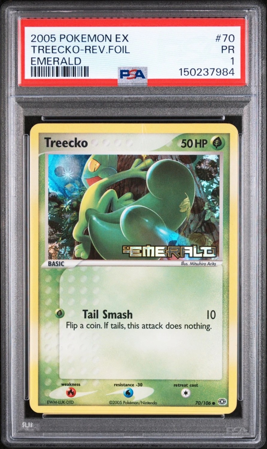 Treecko