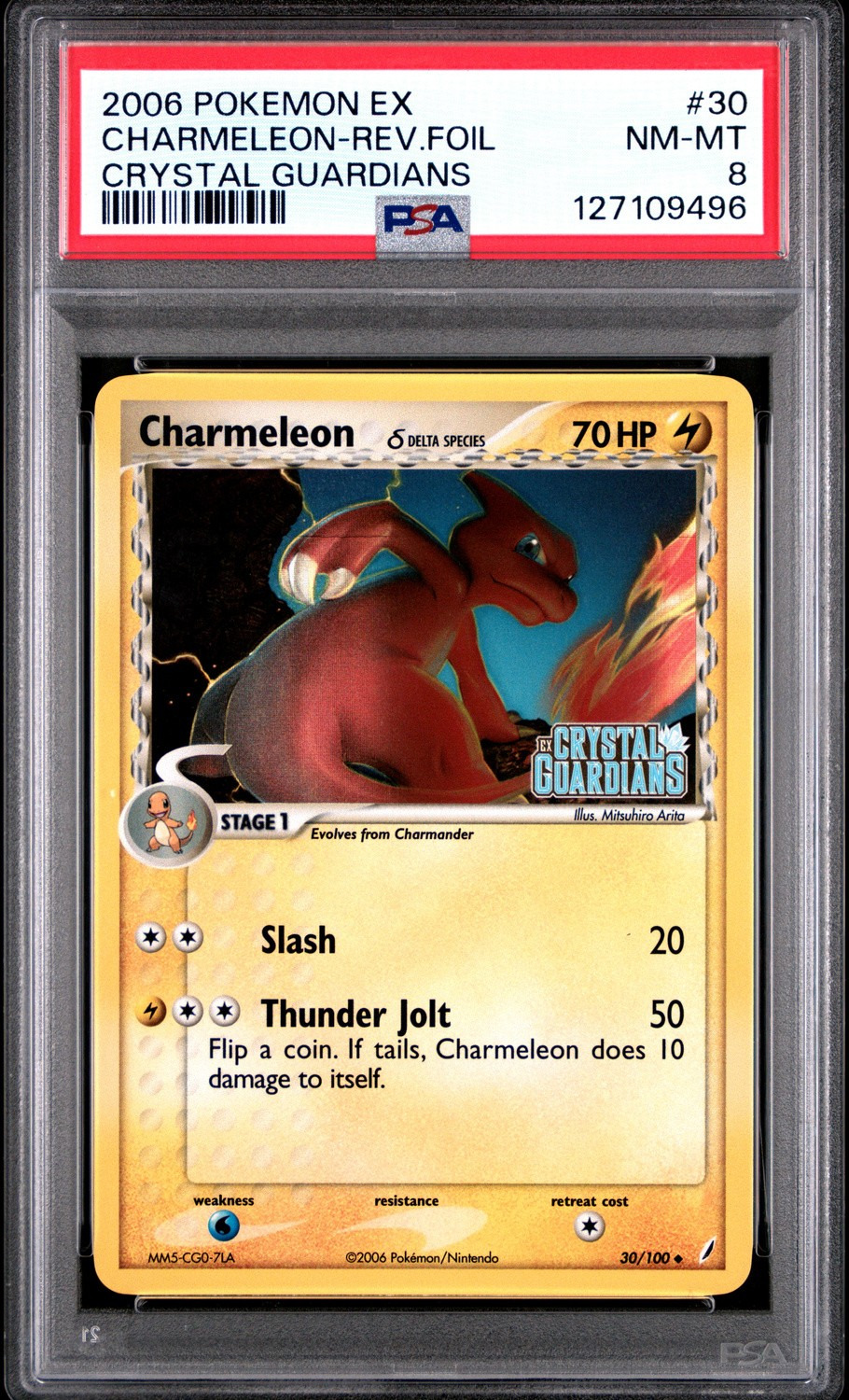 CHARMELEON