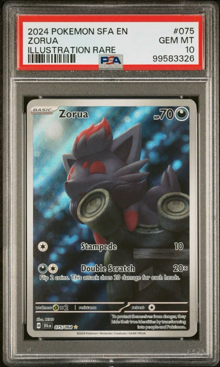 Zorua