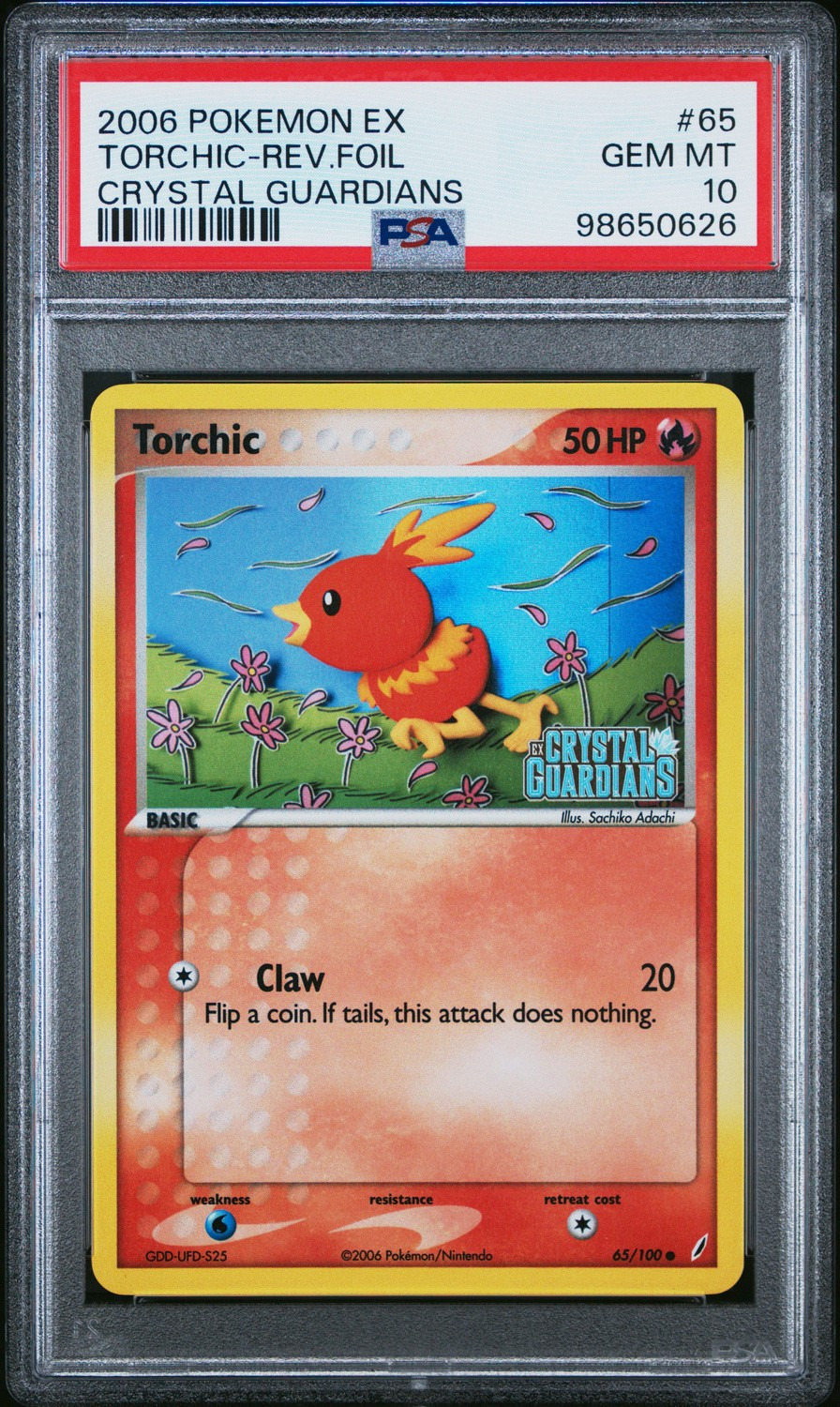 Torchic
