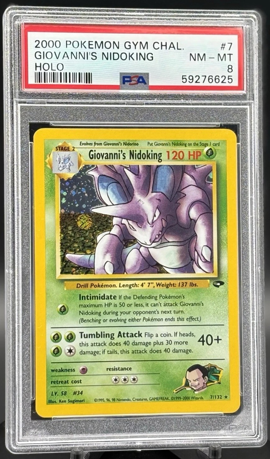 Giovanni's Nidoking
