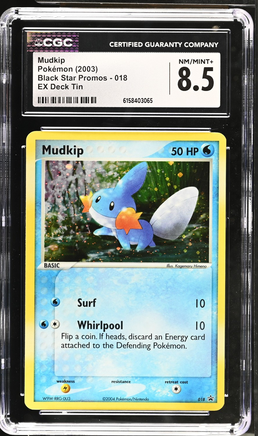 Mudkip