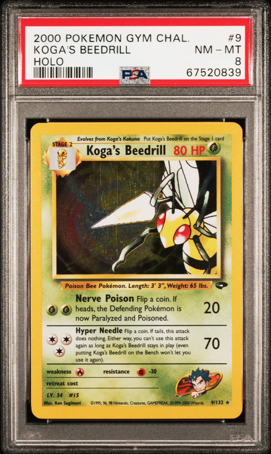 Koga's Beedrill
