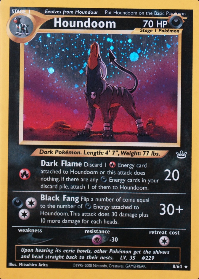 Holo