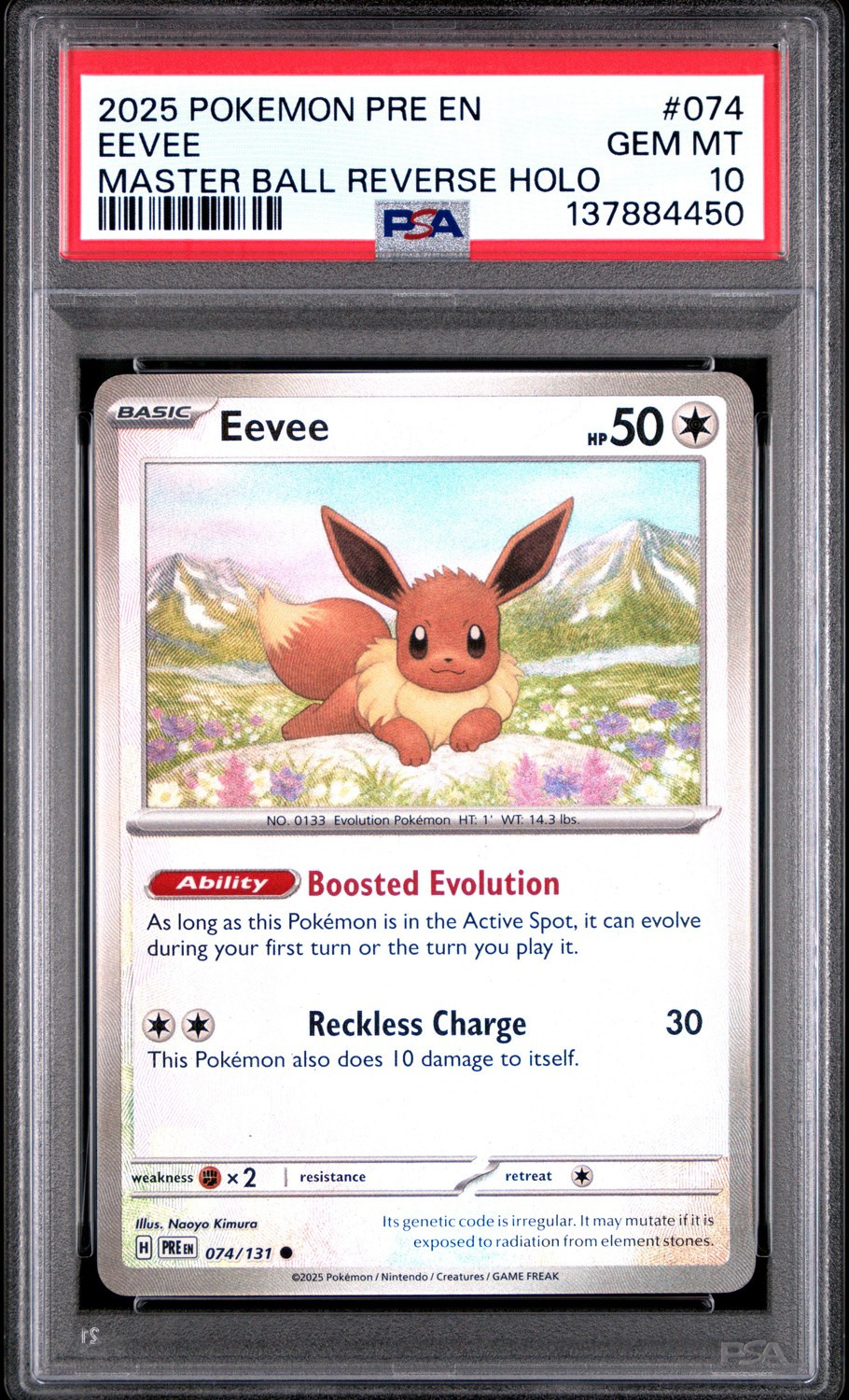 Eevee