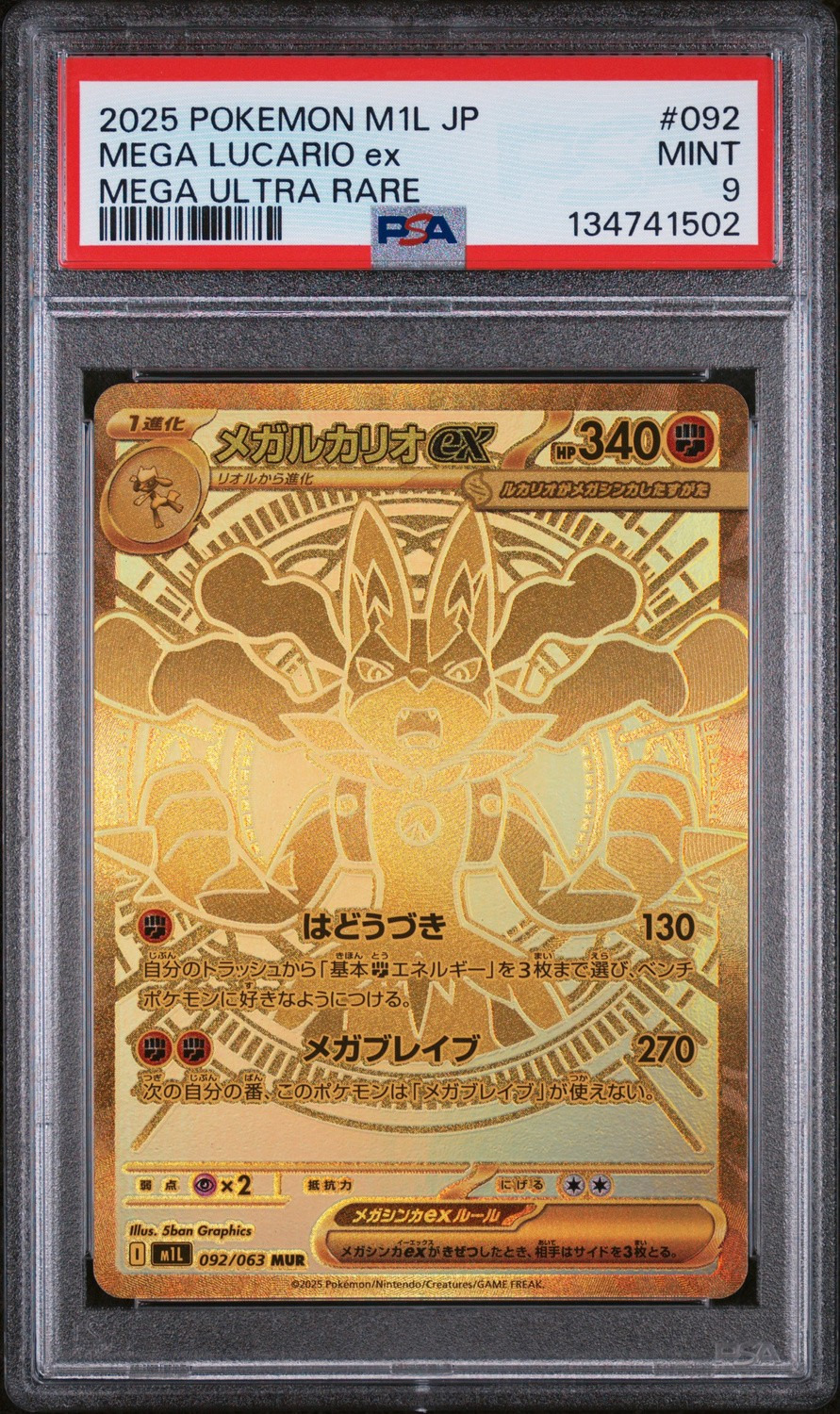 MEGA LUCARIO ex