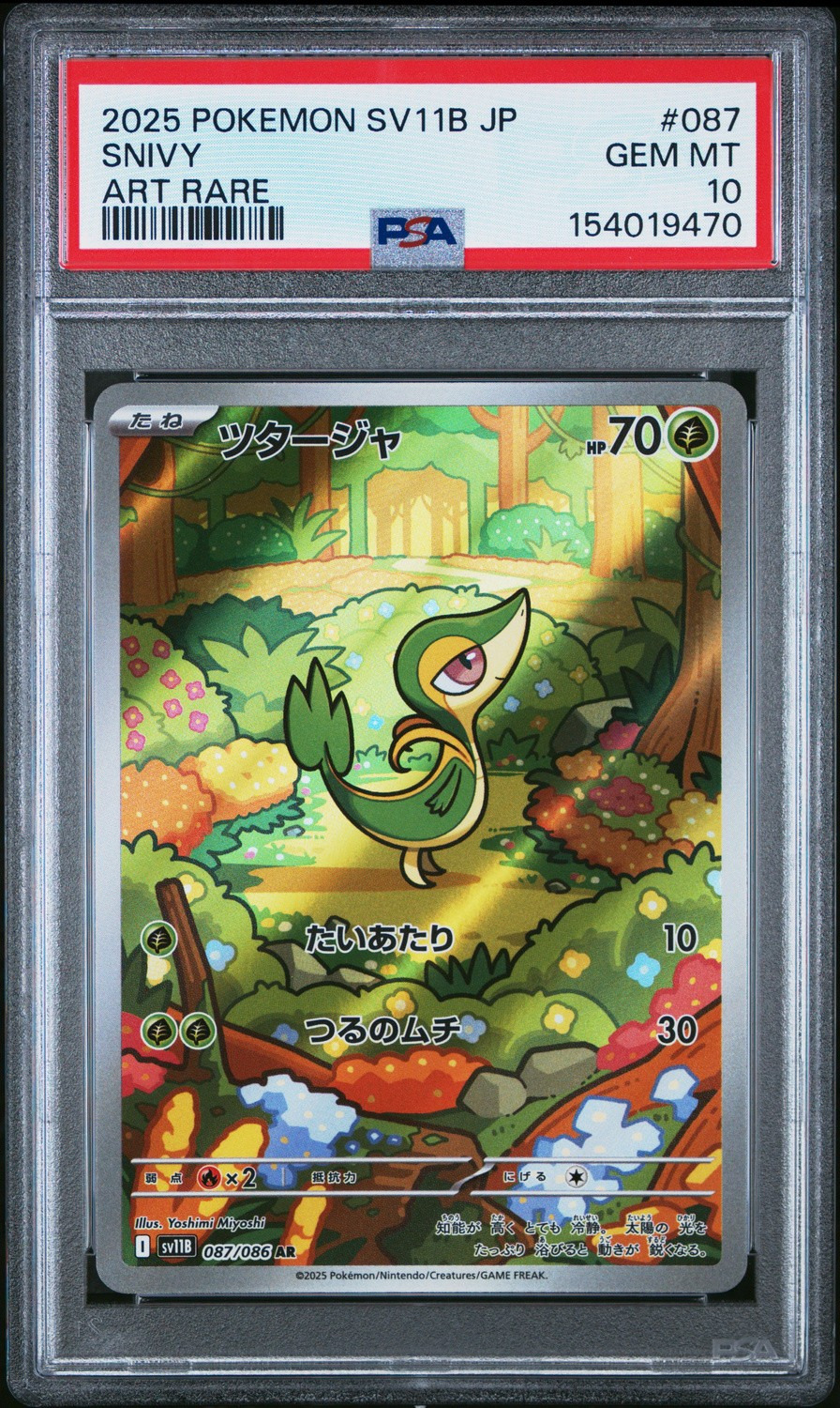 Snivy