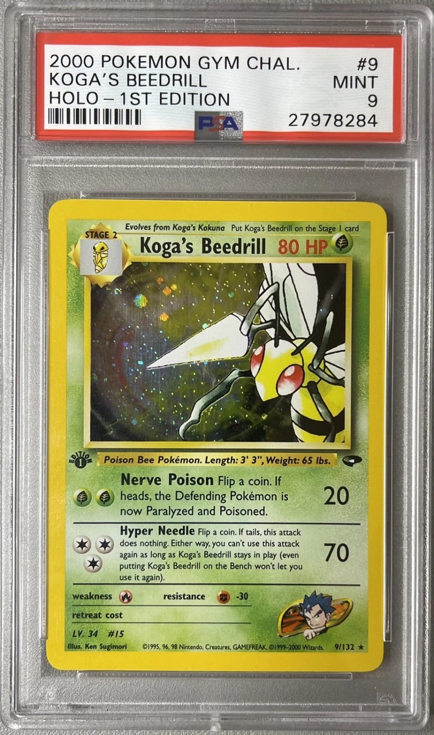 Koga's Beedrill