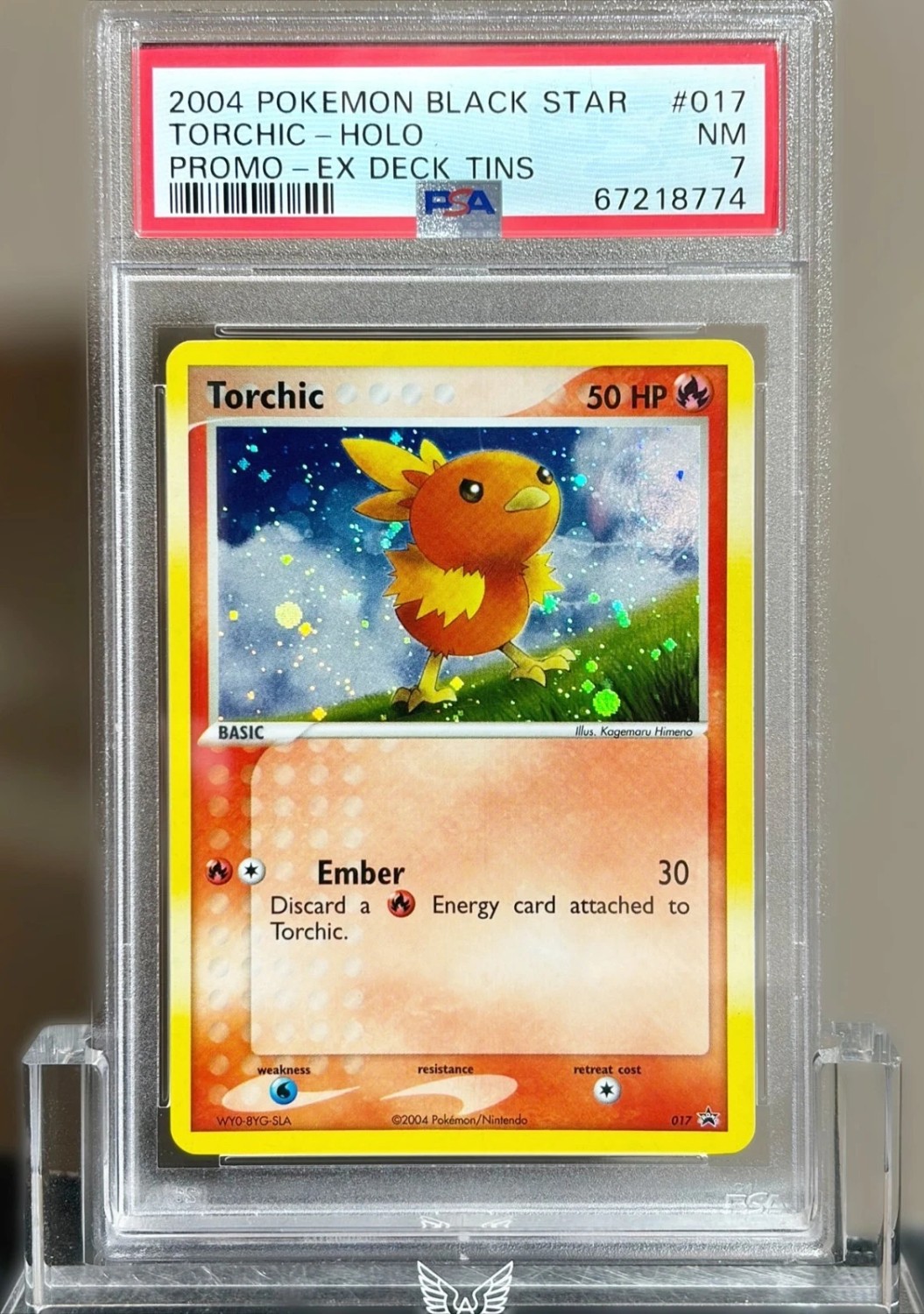 Torchic