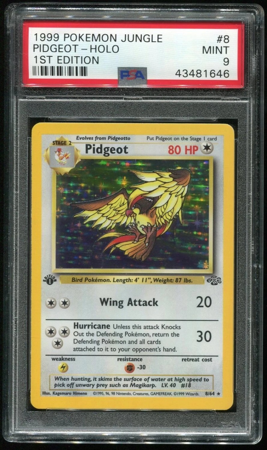 PIDGEOT