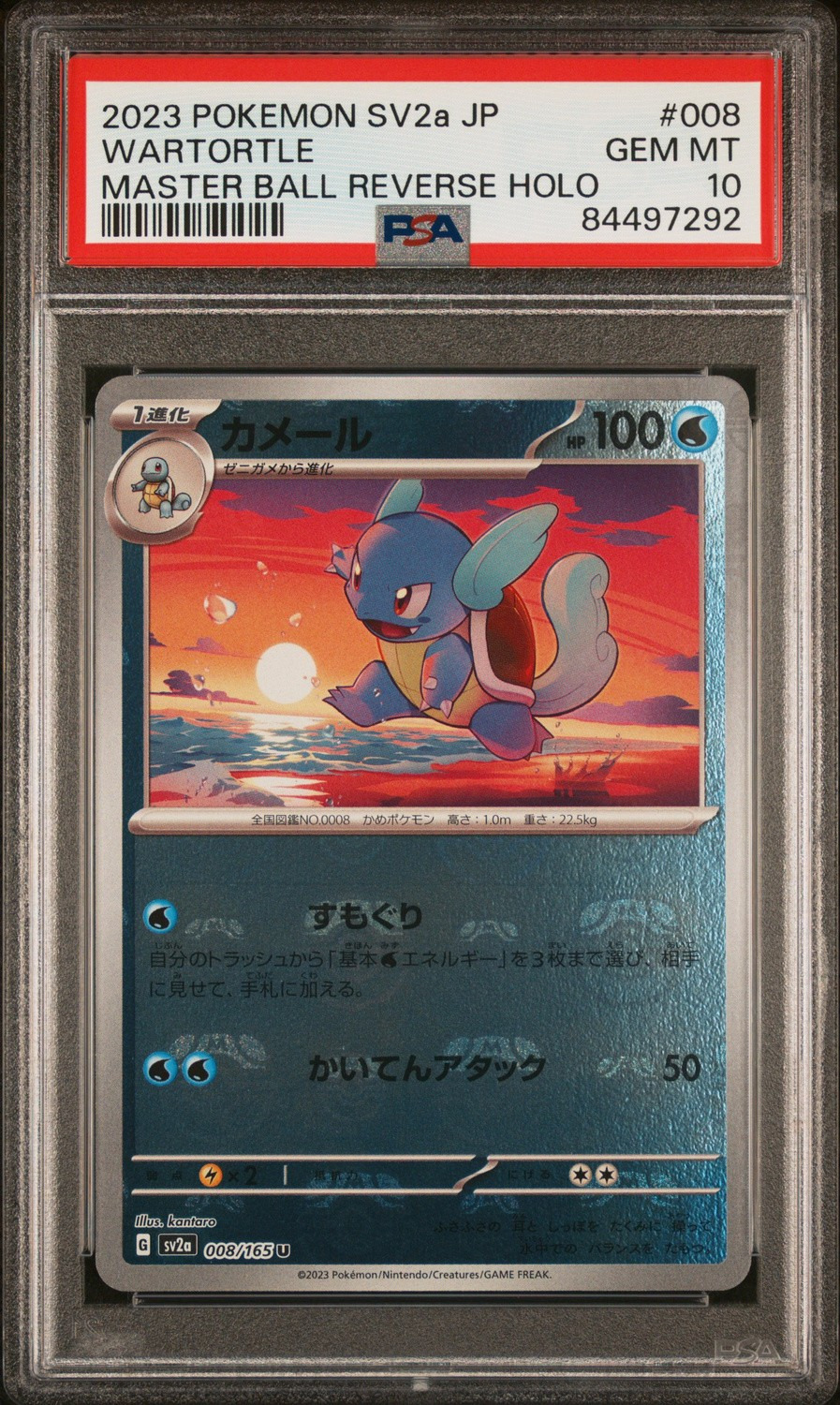Wartortle