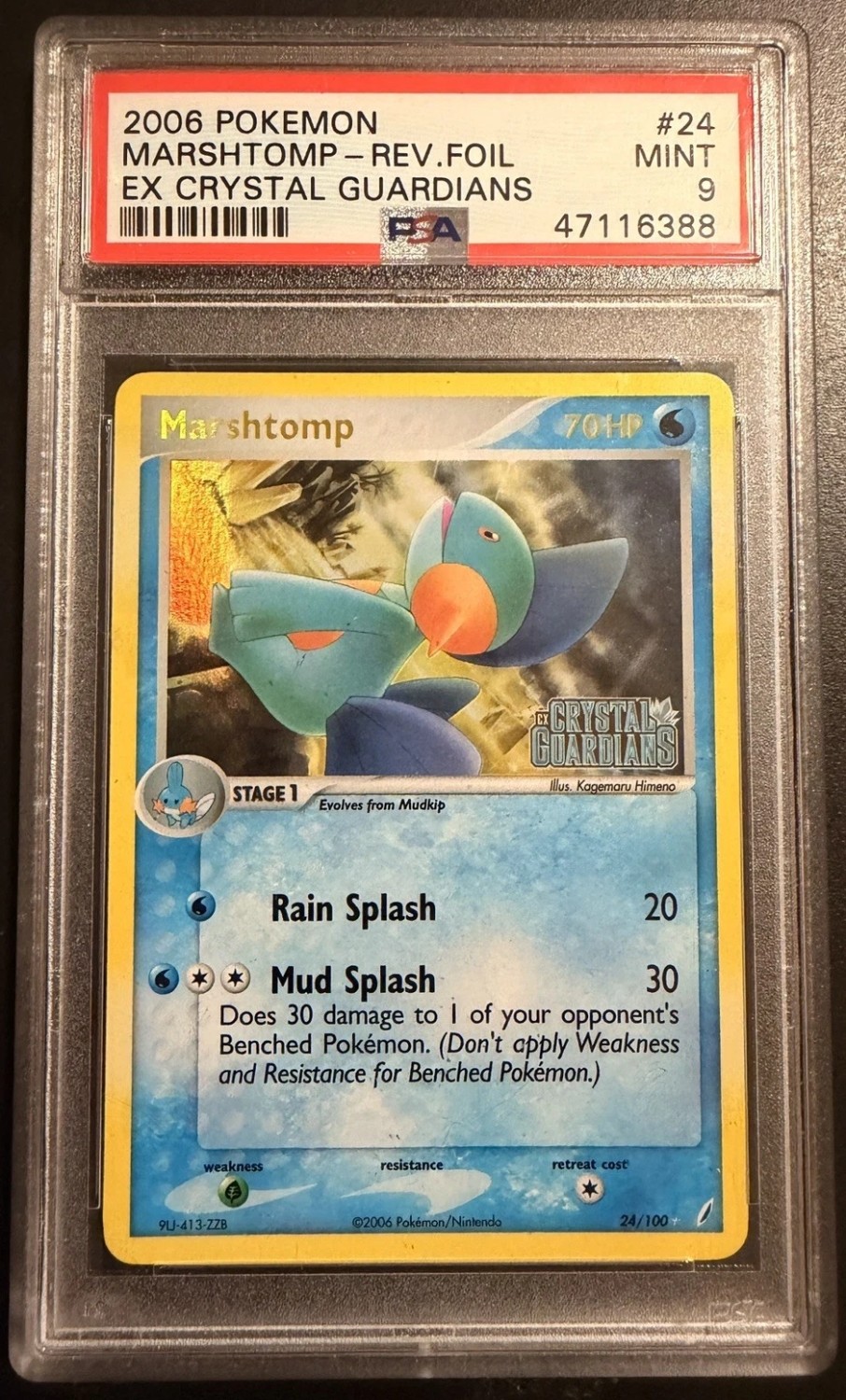 Marshtomp