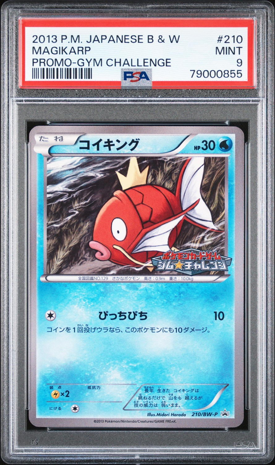 Magikarp