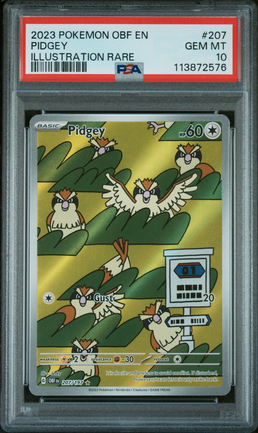 PIDGEY