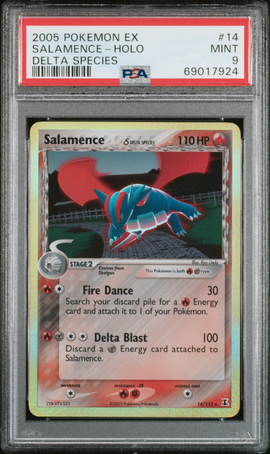 Salamence