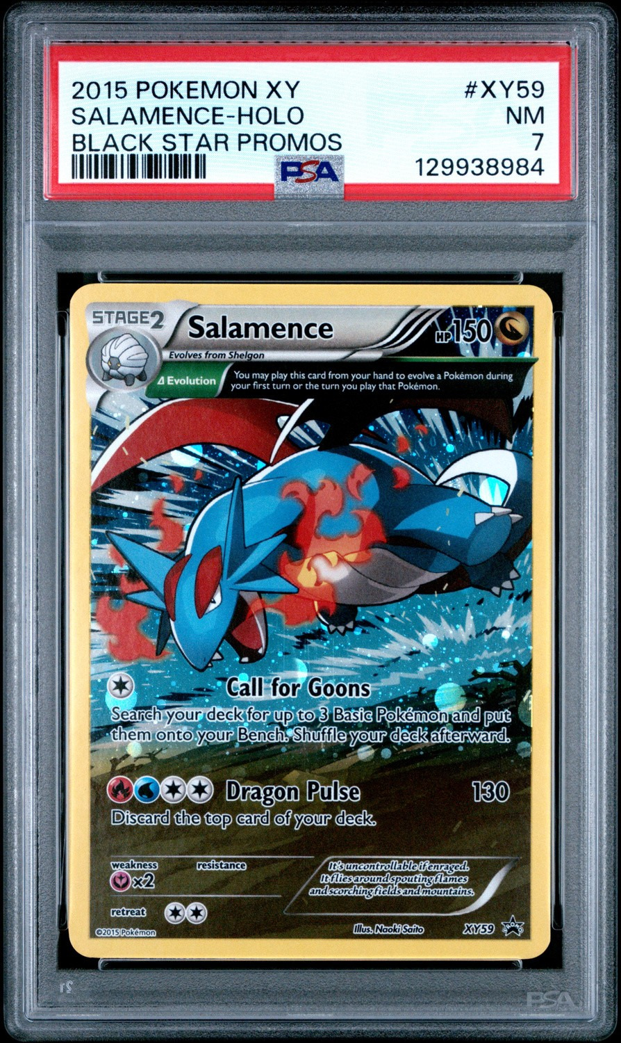 SALAMENCE