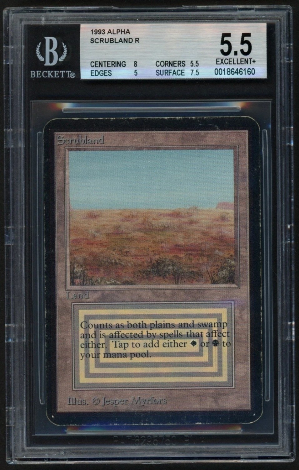 Scrubland R :L:
