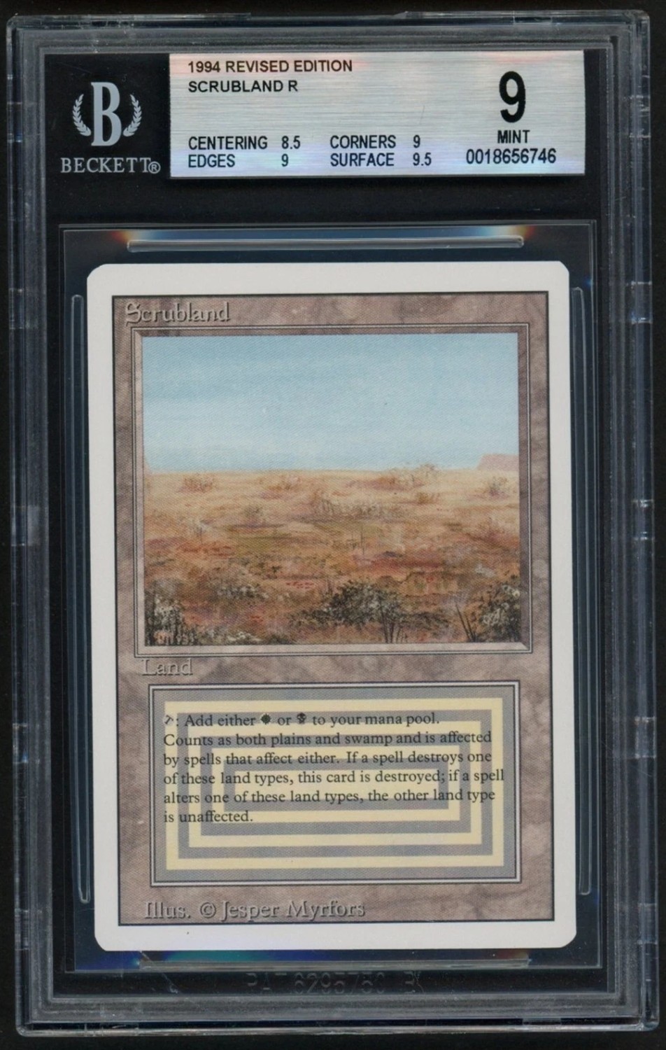 Scrubland