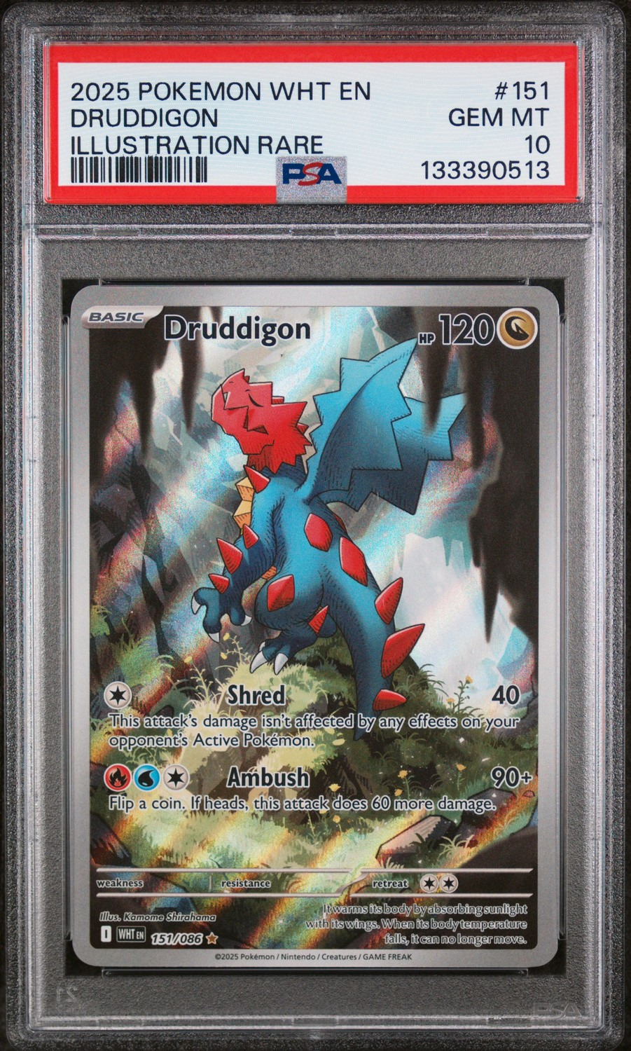Druddigon