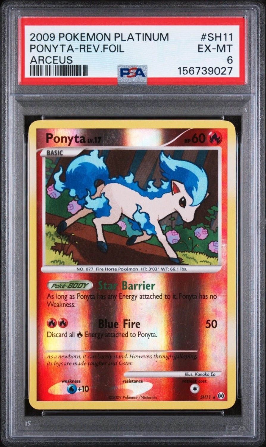 Ponyta