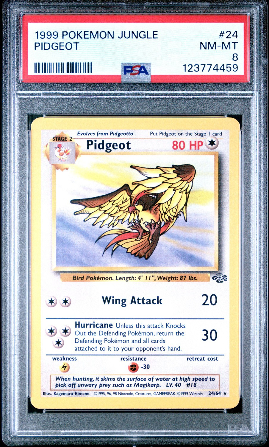 Pidgeot