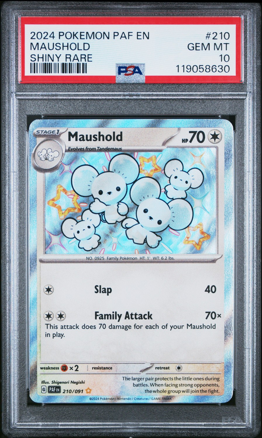 Maushold