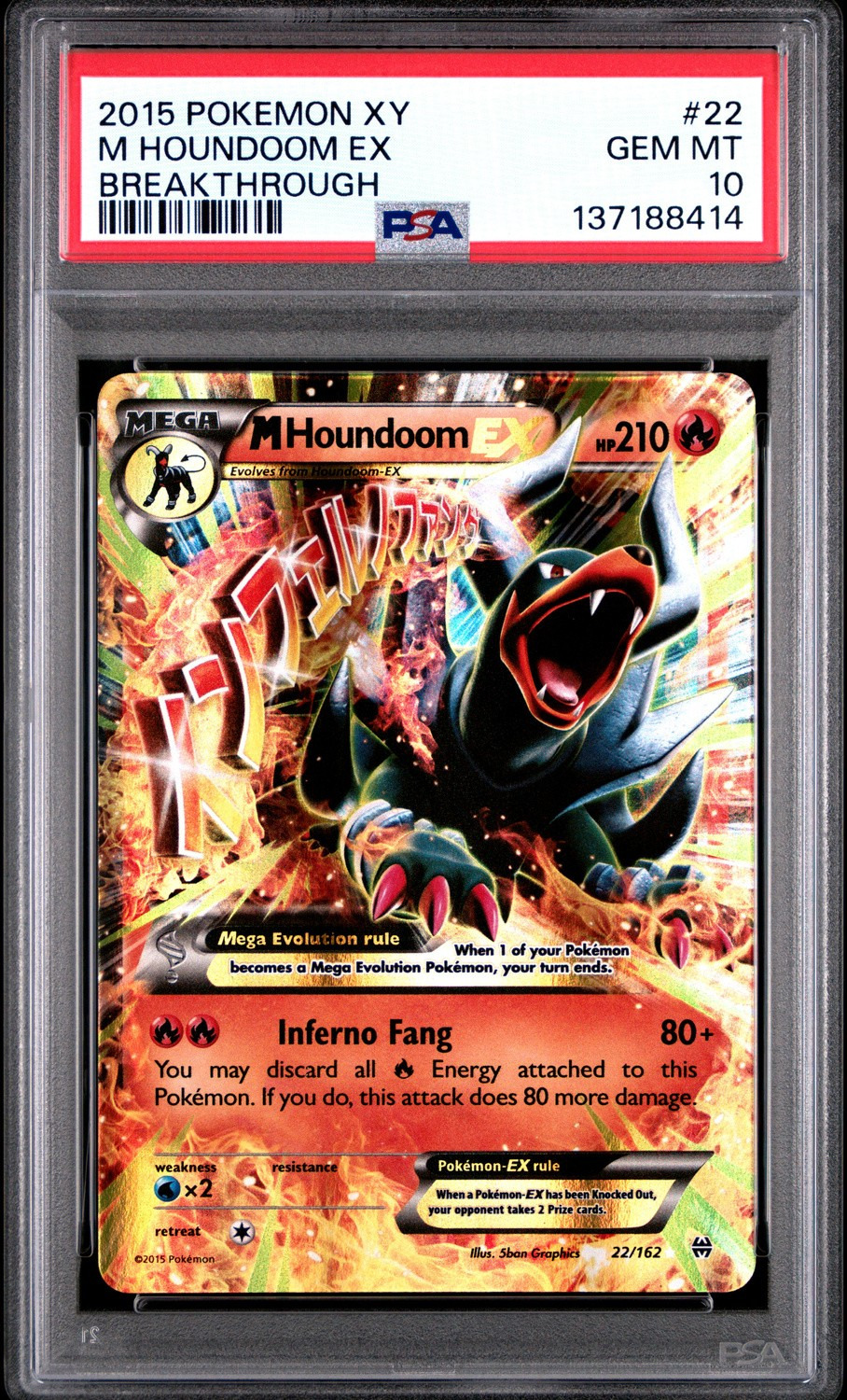 M Houndoom EX