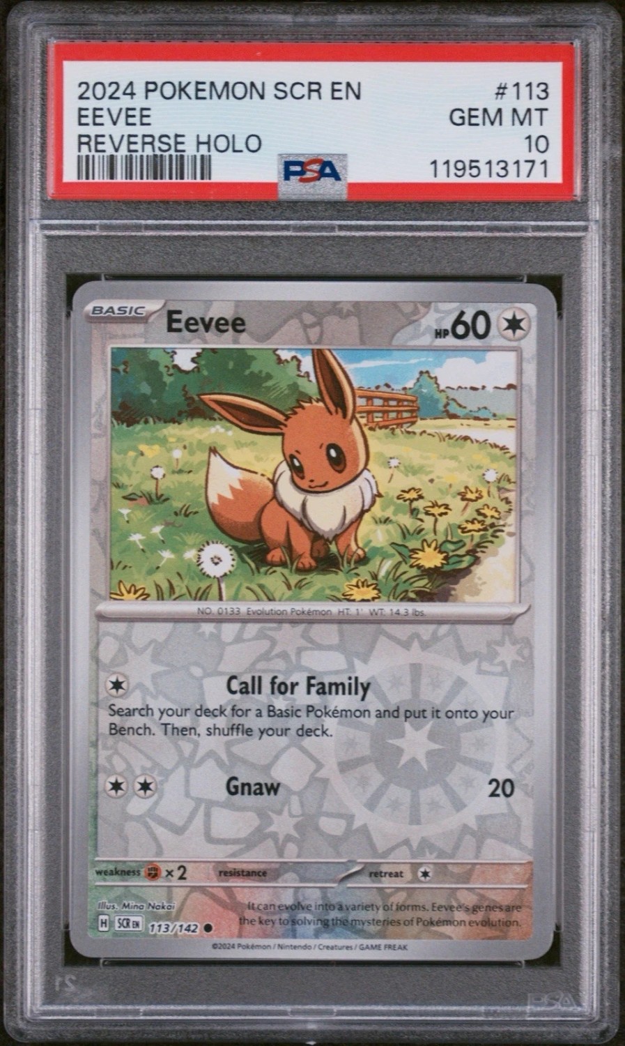 Eevee