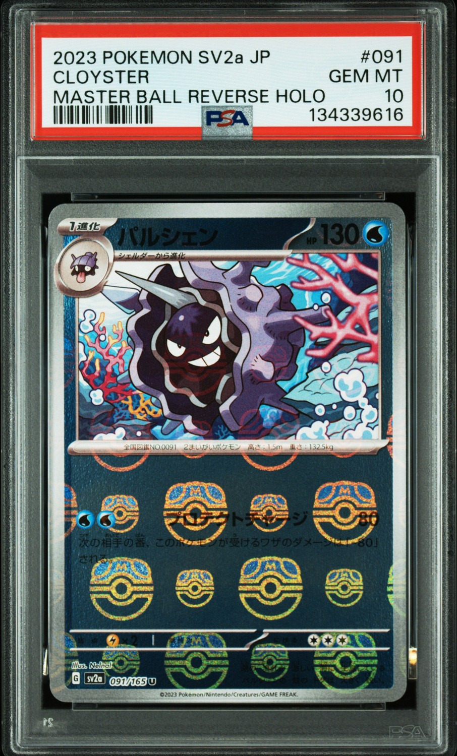 Cloyster
