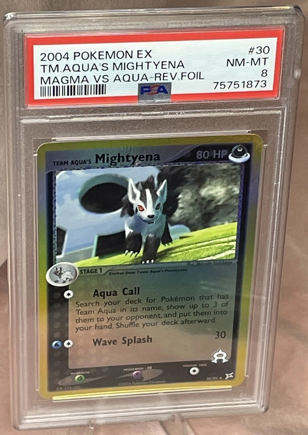 Aqua's Mightyena