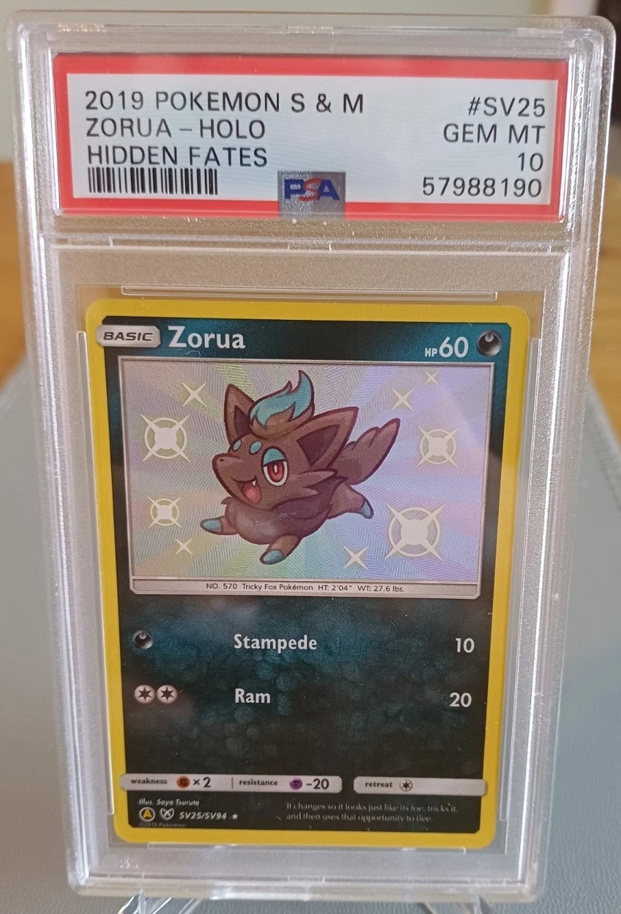 Zorua