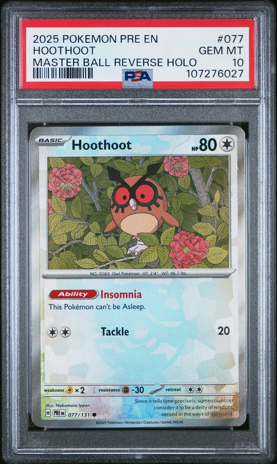 Hoothoot