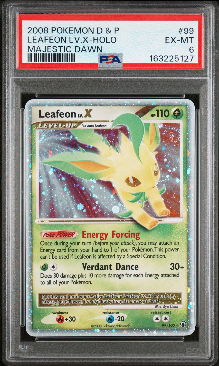 Leafeon Lv X