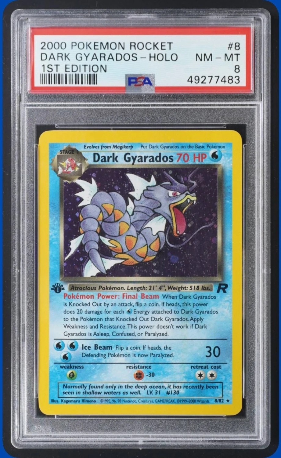 Dark Gyarados